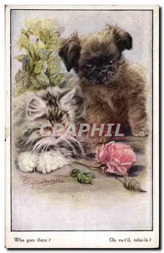 Cartes postales Chien Chients Chiot Chat chaton