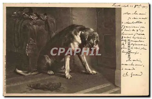 Cartes postales Chien Chients Chiot Impatience