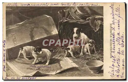 Cartes postales Chien Chients Chiot Explorateurs d&#39Afrique