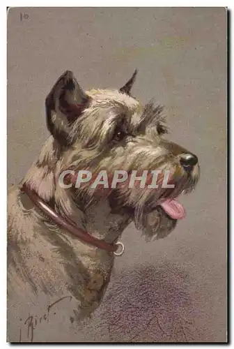 Cartes postales Chien Chients Chiot