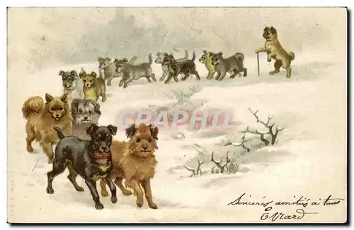 Cartes postales Chien Chients Chiot