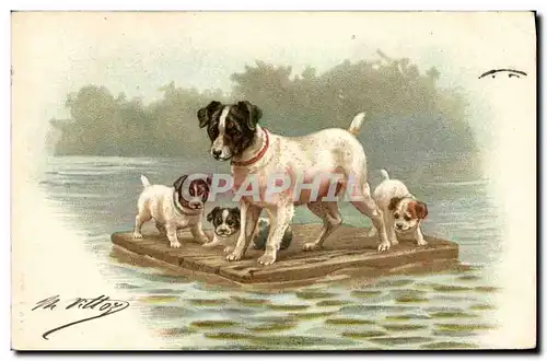 Cartes postales Chien Chients Chiot