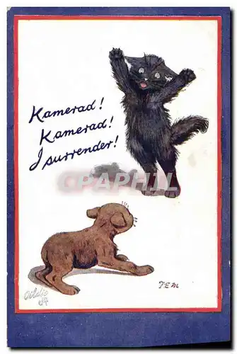 Cartes postales Chien Chients Chiot Chat