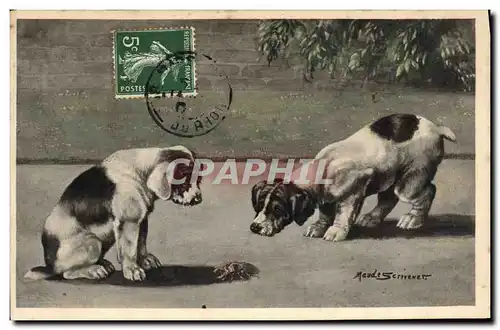 Cartes postales Chien Chients Chiot