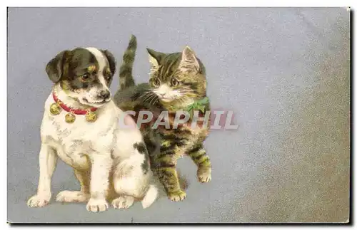 Ansichtskarte AK Chien Chients Chiot Chat Chaton