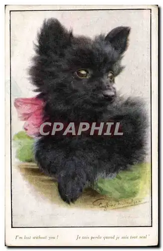 Cartes postales Chien Chients Chiot