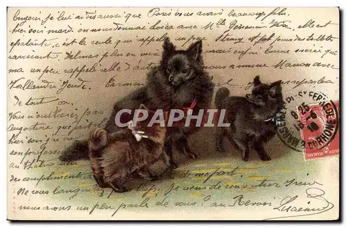 Cartes postales Chien Chients Chiot