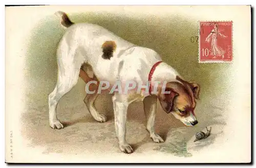 Cartes postales Chien Chients Chiot Escargot