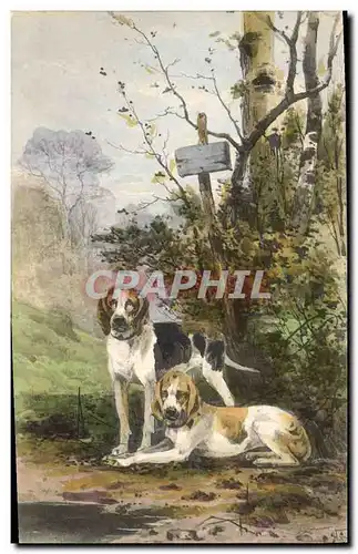 Cartes postales Chien Chients Chiot