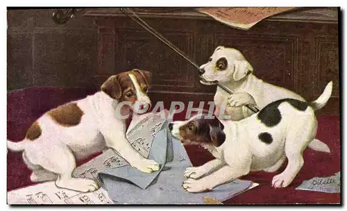 Cartes postales Chien Chients Chiot