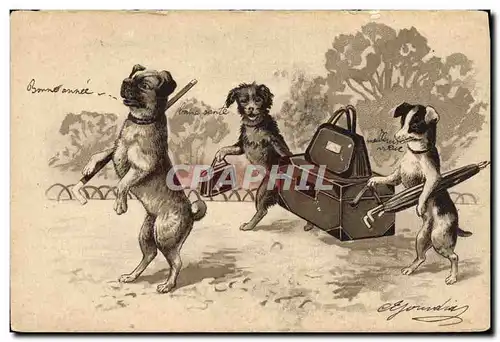 Cartes postales Chien Chients Chiot