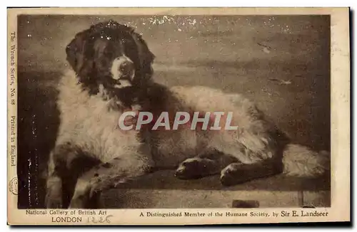 Cartes postales Chien Chients Chiot