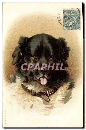 Cartes postales Chien Chients Chiot