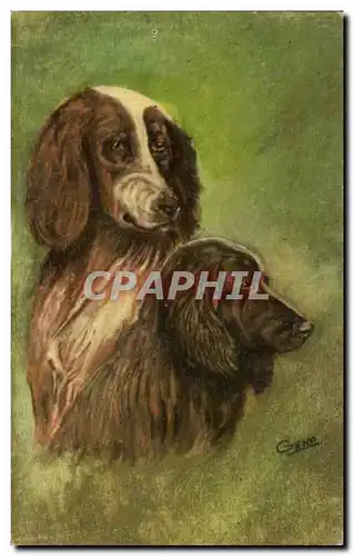 Cartes postales Chien Chiens Chiot