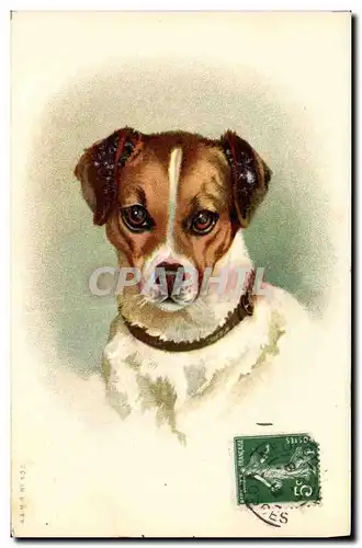 Cartes postales Chien Chiens Chiot