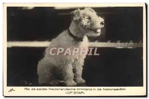 Cartes postales Chien Chiens Chiot