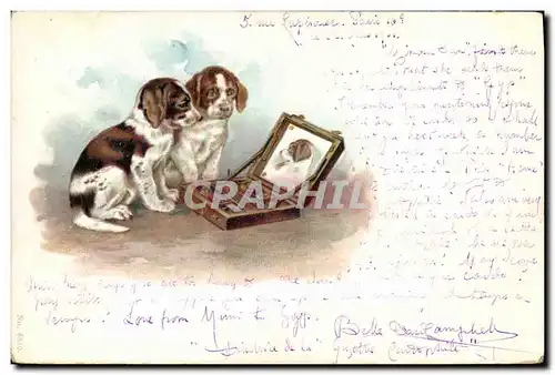 Cartes postales Chien Chiens Chiot