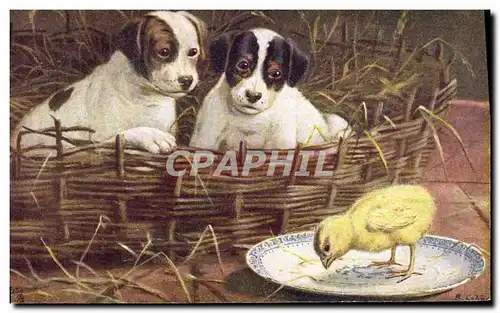 Cartes postales Chien Chiens Chiot Poussin