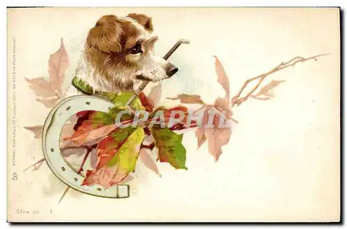 Cartes postales Chien Chiens Chiot Fer a cheval