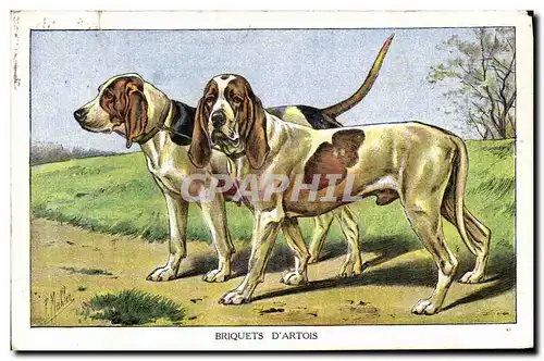 Cartes postales Chien Chiens Chiot Briquets d&#39Artois