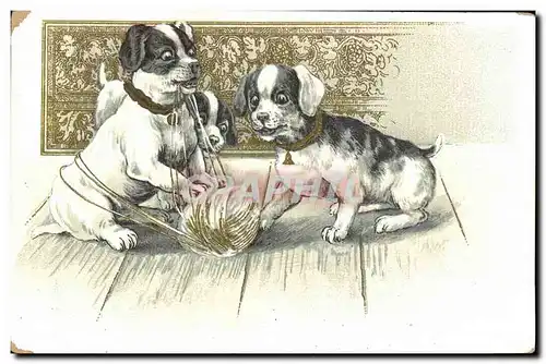 Cartes postales Chien Chiens Chiot