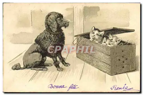 Cartes postales Chien Chiens Chiot Chat chaton