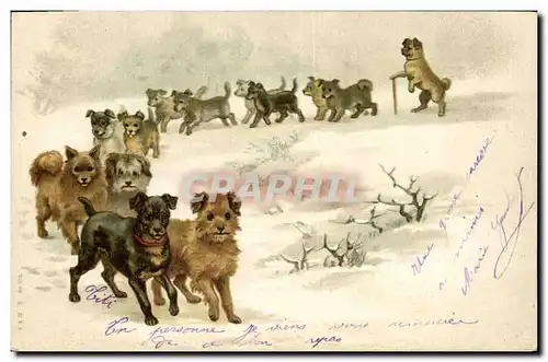 Cartes postales Chien Chiens Chiot