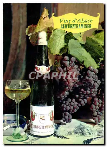 Cartes postales moderne Vins d&#39Alsace Gewurztraminer