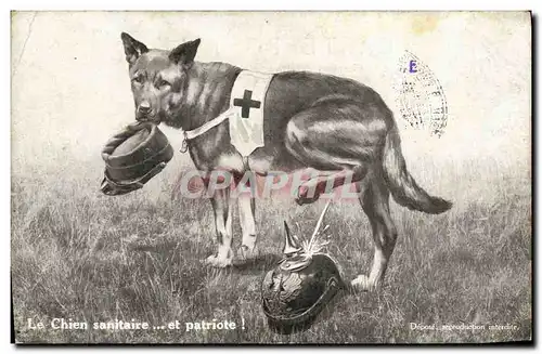 Ansichtskarte AK Chien Chiens Chiot Le chien sanitaire Et patriote Croix Rouge Militaria