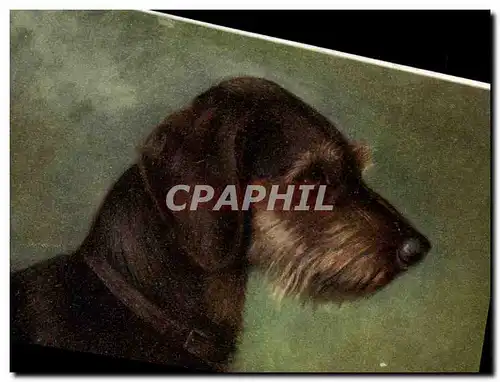 Cartes postales Chien Chiens Chiot