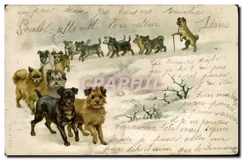 Cartes postales Chien Chiens Chiot