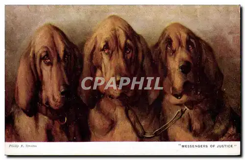 Cartes postales Chien Chiens Chiot Messengers of justice