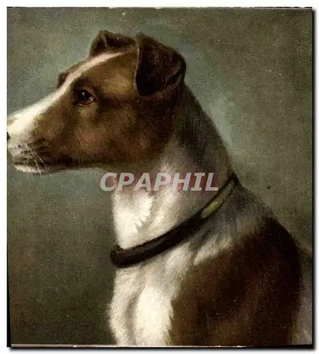 Cartes postales Chien Chiens Chiot