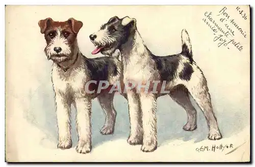 Cartes postales Chien Chiens Chiot