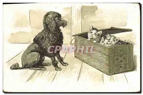 Cartes postales Chien Chiens Chiot Chats Chat