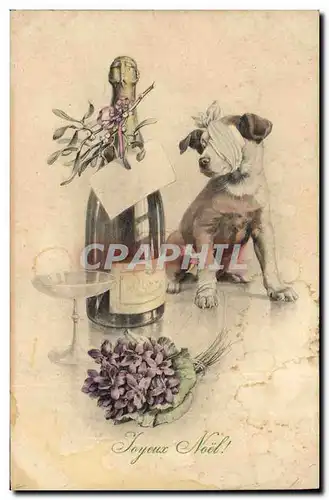 Cartes postales Chien Chiens Chiot Champagne Noel