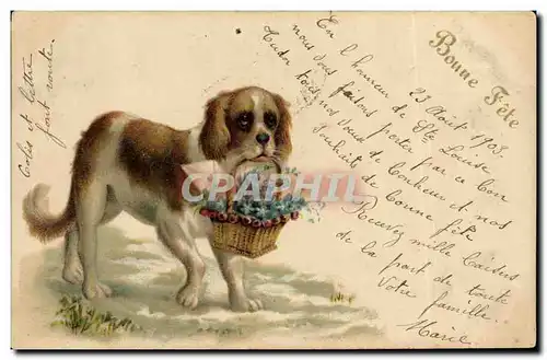 Cartes postales Chien Chiens Chiot