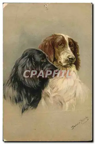 Cartes postales Chien Chiens Chiot