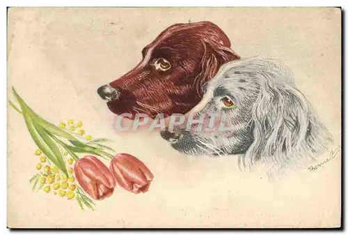 Cartes postales Chien Chiens Chiot