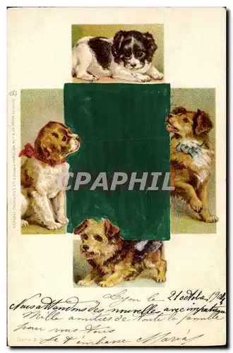 Cartes postales Chien Chiens Chiot