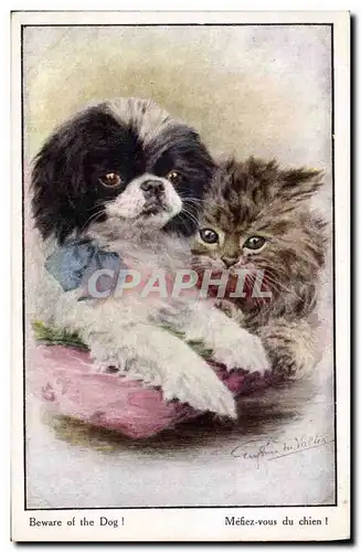 Cartes postales Chien Chiens Chiot Chat Chaton Mefiez vous du chien !