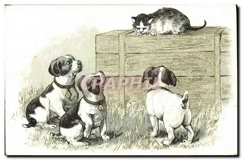 Cartes postales Chien Chiens Chiot Chat Chaton