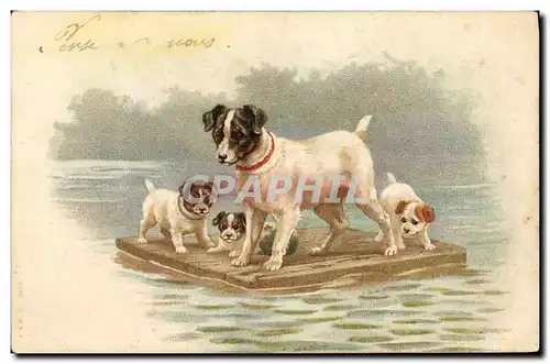 Cartes postales Chien Chiens Chiot