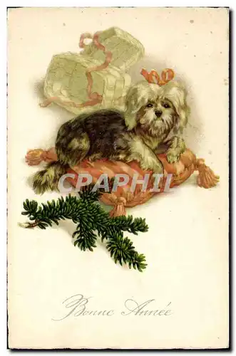 Cartes postales Chien Chiens Chiot Bonne annee