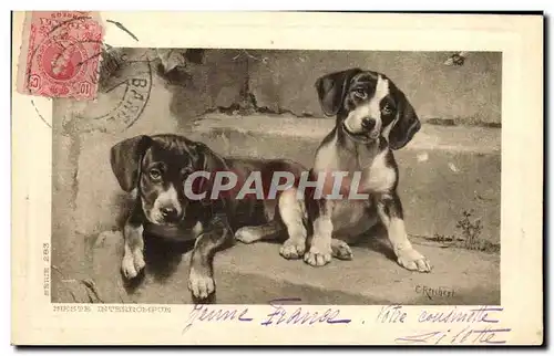 Cartes postales Chien Chiens Chiot Sieste interrompue