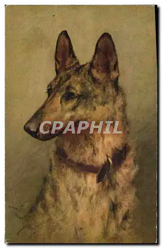 Cartes postales Chien Chiens Chiot