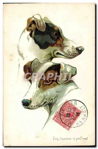 Cartes postales Chien Chiens Chiot Fox terrier a poil ras