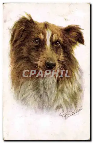 Cartes postales Chien Chiens Chiot