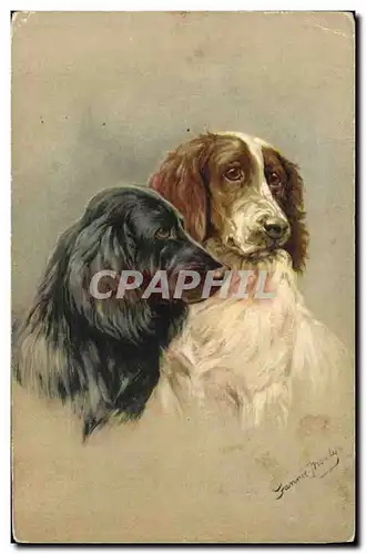 Cartes postales Chien Chiens Chiot