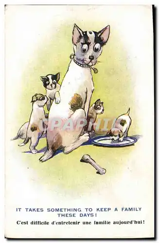 Cartes postales Chien Chiens Chiot It takes something to keep a family these days !